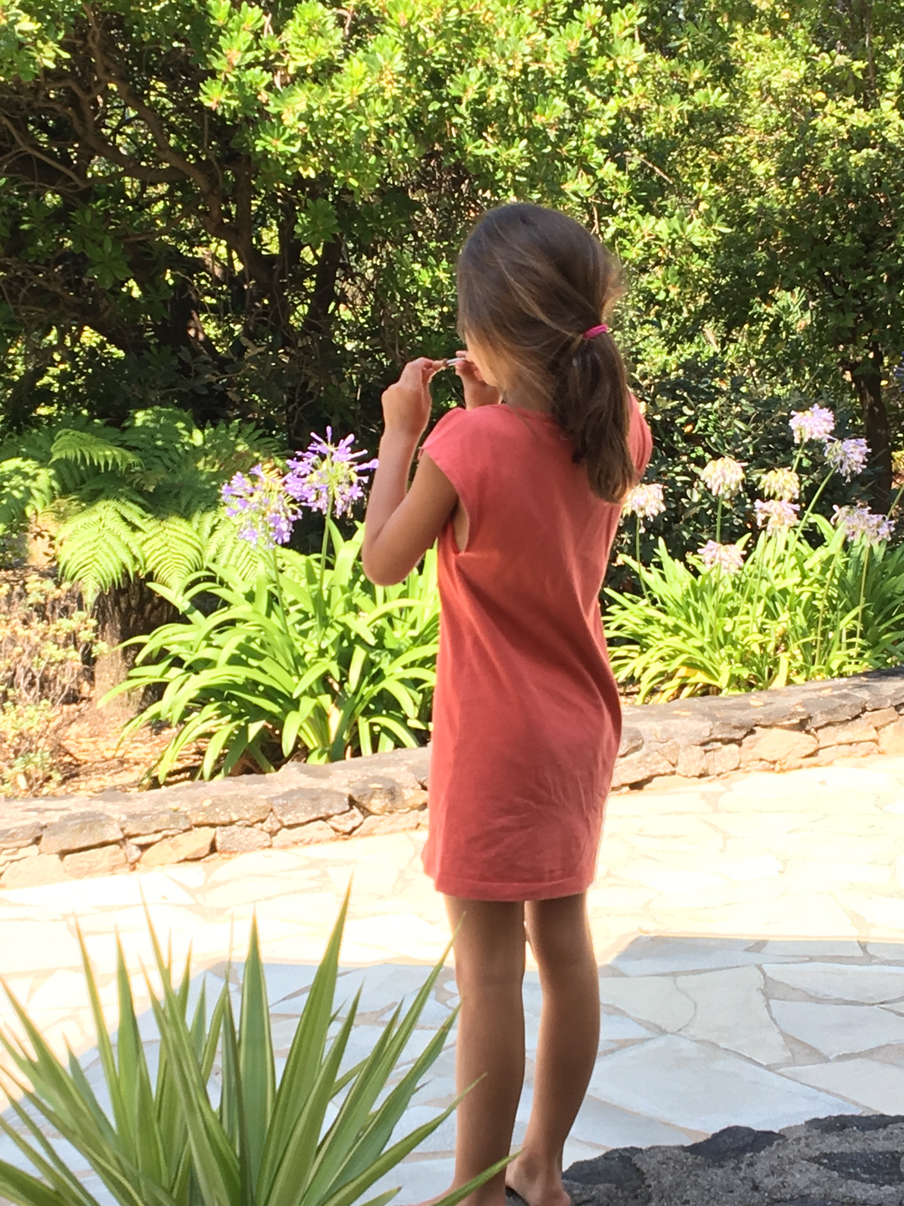 Roro au jardin tropical